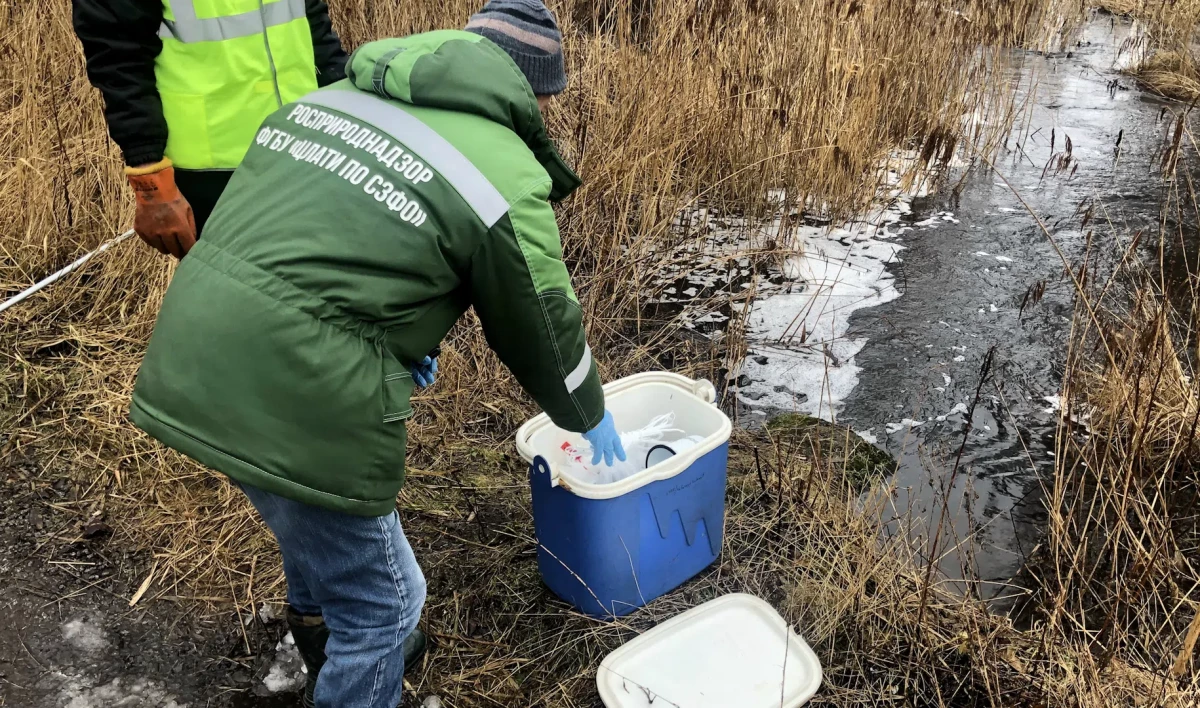 За неделю экологи очистили реки и пруды от нефтяных пятен и 400 килограмм мусора - tvspb.ru