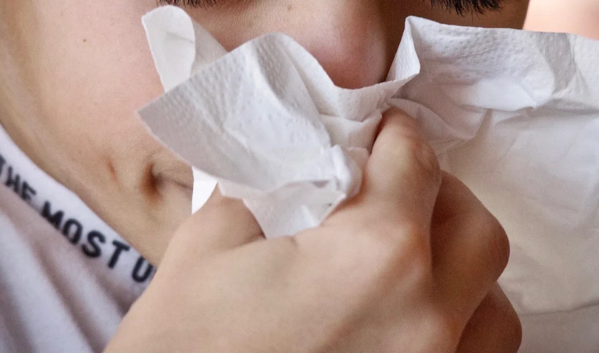 Петербуржцам с аллергией рассказали, как уберечь здоровье весной - tvspb.ru