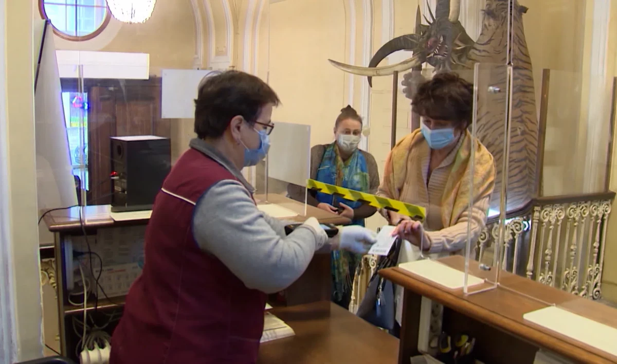 «Инициатива крайне положительная»: Терапевт о привязке фотографий к QR-кодам - tvspb.ru