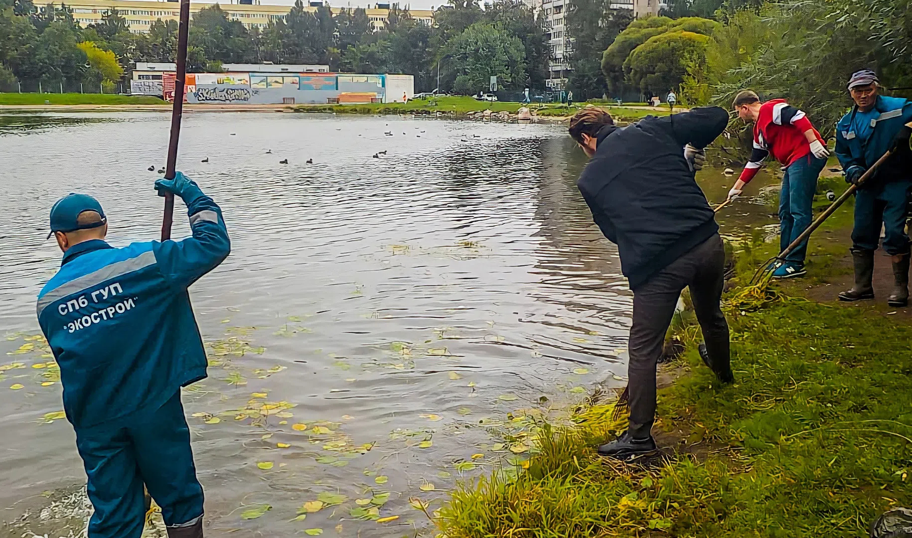 Новости с водоемов спб. Водоросли в каналах СПБ.