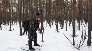Следы вымершей птицы. Уникальная находка в лесу Ленинградской области