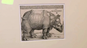 «Носорог» Дюрера — первое вирусное изображение в истории