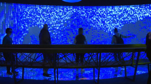 Что подумает о вас искусственный интеллект: оживший диджитал-арт в Новой Голландии