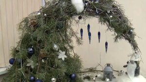 Грибная ёлочка и другие новогодние композиции: Ботанический сад имени Петра Великого готовится к празднику