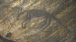 Как древний человек пытался передать нам смыслы через пустоту: петроглифы Белого моря и Онежского озера