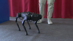 Робопёс Юни и другие: фестиваль самых крутых роботов мира открылся в Петербурге