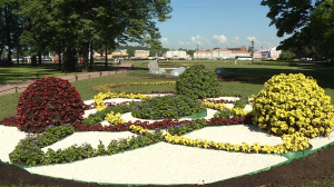 Тематические цветники: буйство красок и ароматов на фестивале цветов в Александровском саду