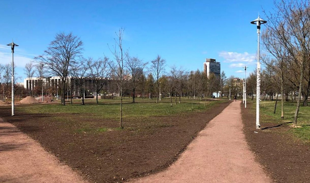 В Пулковском парке установили наружное освещение - tvspb.ru