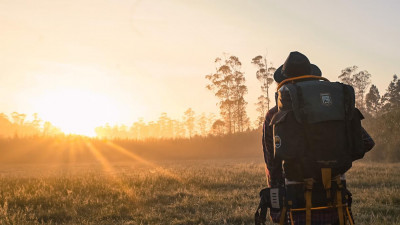 Правительство выделит на поддержку внутреннего туризма 2 млрд рублей