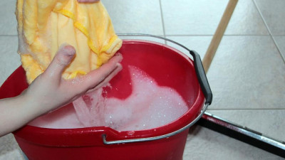 Два магазина в Петербурге оштрафовали за антисанитарию