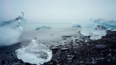 Ученые СПбГУ обнаружили в Арктике более 100 видов моллюсков
