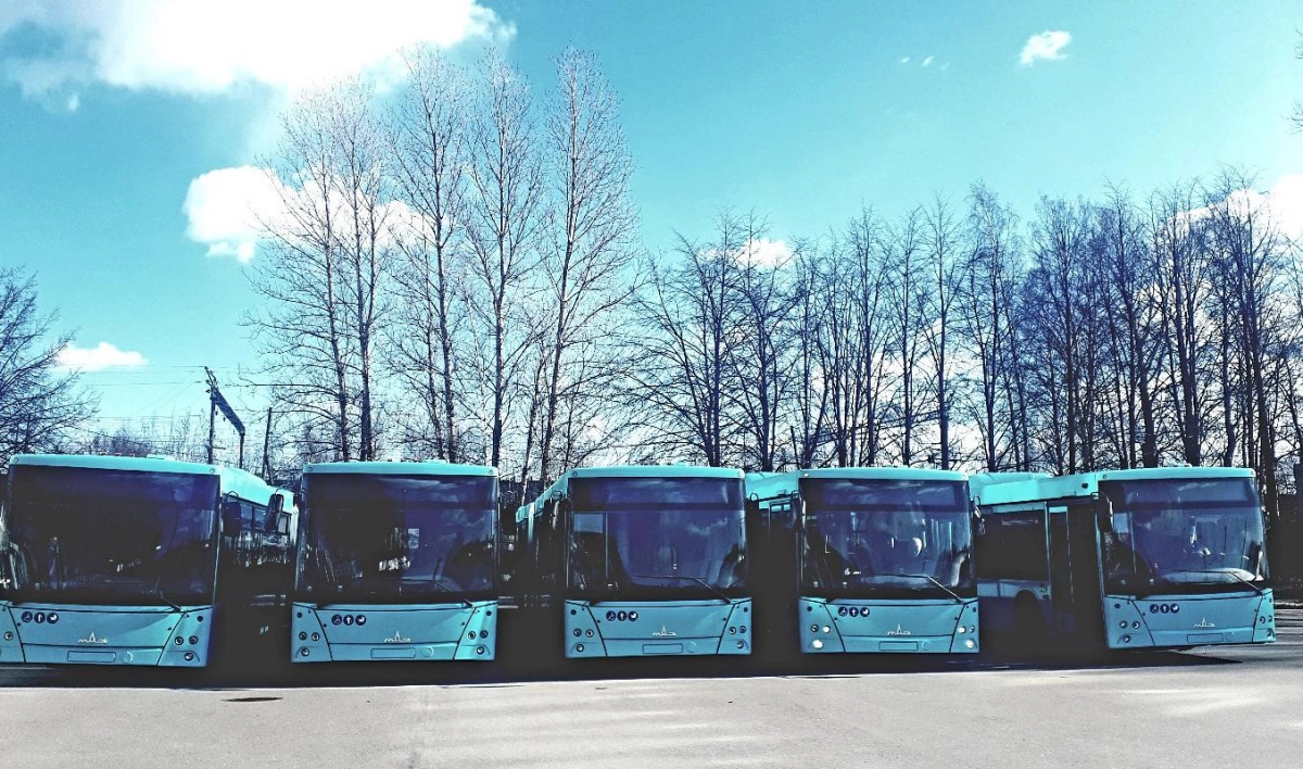 Автобусный парк в Петербурге пополнили 5 новейших автобусов - tvspb.ru