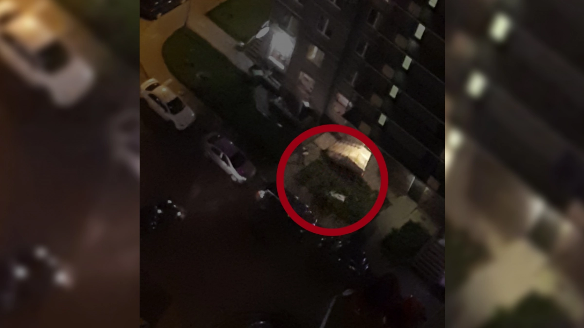 Девушка выпала с 25-го этажа на улице Федора Абрамова - tvspb.ru