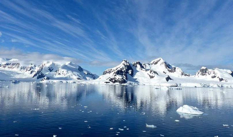 На месте растаявших ледников в Арктике обнаружили уникальные растения - tvspb.ru