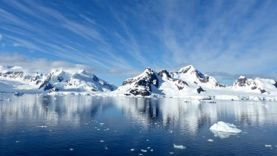 На месте растаявших ледников в Арктике обнаружили уникальные растения