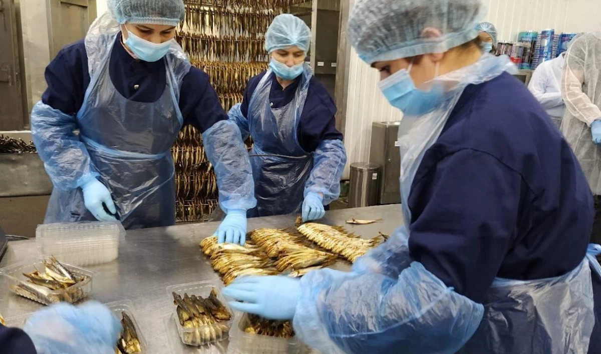 Крупнейший переработчик рыбы планирует перенести свою базу в Ленобласть - tvspb.ru