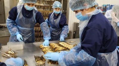 Крупнейший переработчик рыбы планирует перенести свою базу в Ленобласть