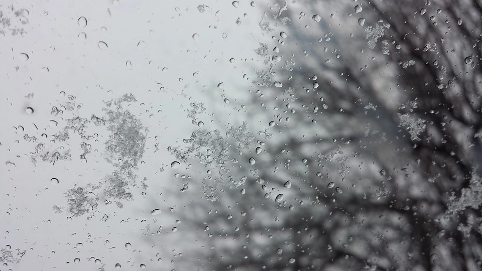 Мокрый снег, сильный ветер и гололедица прогнозируются в Петербурге во вторник - tvspb.ru