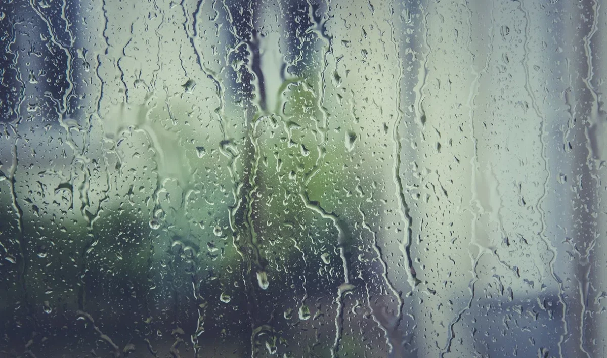 В воскресенье Ленобласть ждут умеренные дожди - tvspb.ru