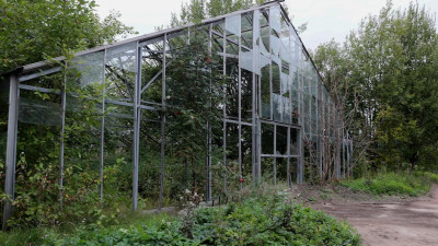 В Смольном утвердили конкурсную документацию для реконструкции оранжереи Таврического сада