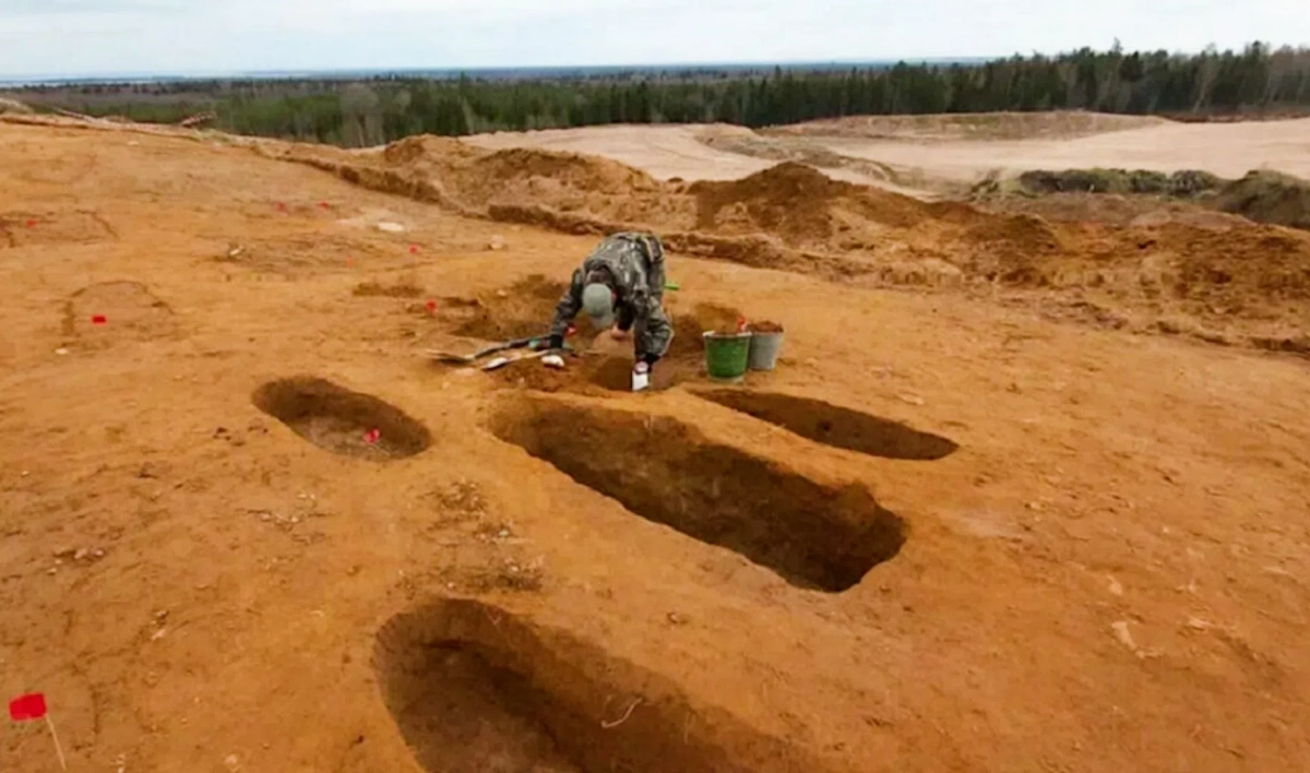 Впервые за 30 лет археологи СПбГУ раскопали древний ижорский могильник - tvspb.ru