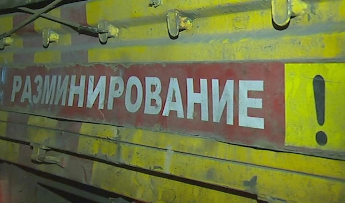 В Шунгеровском лесопарке нашли снаряд времен войны - tvspb.ru