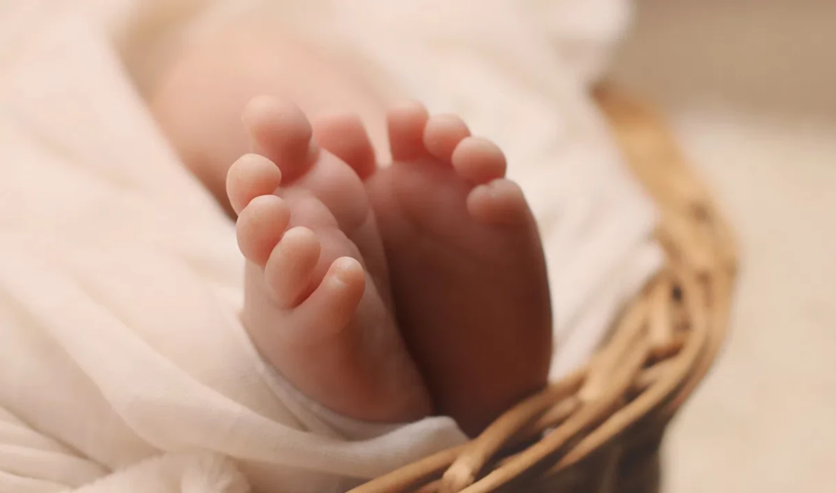 Названы самые популярные имена новорожденных петербуржцев в 2021 году - tvspb.ru