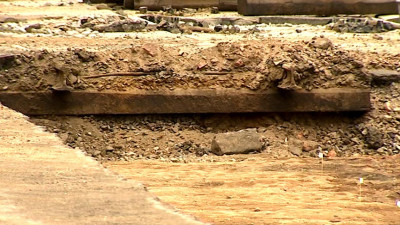 В Ростовской области нашли новый вид древнего ископаемого барана