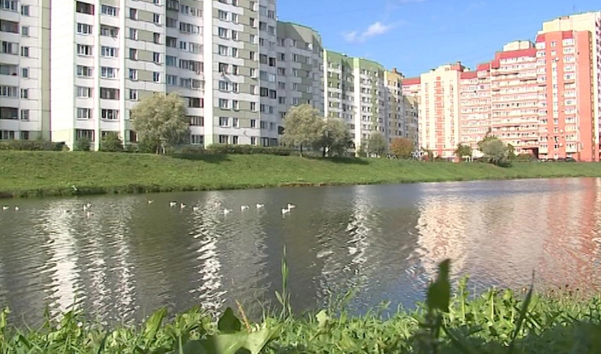 Очевидцы сообщили о массовой гибели рыбы в реке Новой - tvspb.ru