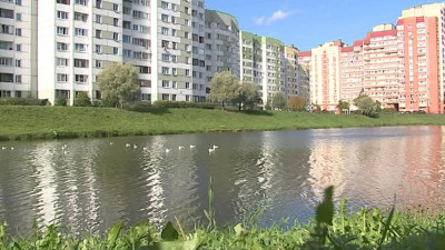 Очевидцы сообщили о массовой гибели рыбы в реке Новой