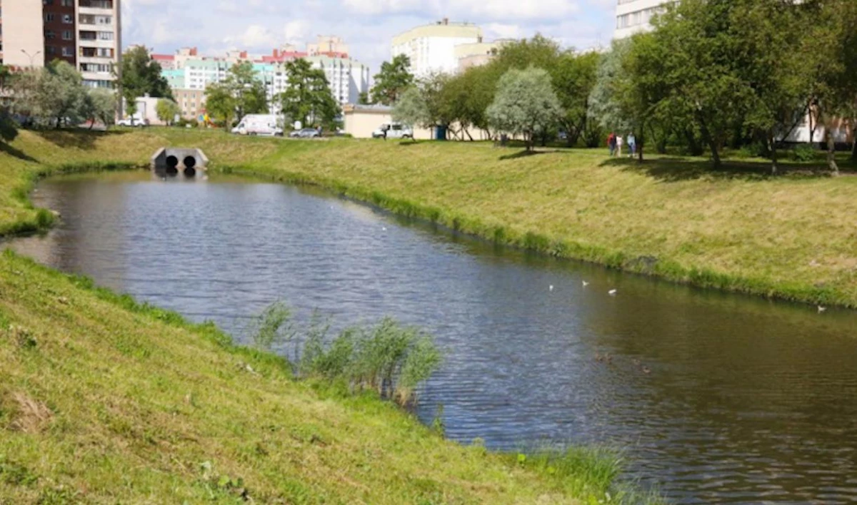 Эксперты проверили состояние реки Новая, куда «Пулково» сбрасывал сточные воды - tvspb.ru