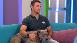 В отпуск — с домашним питомцем. Консультация кинолога