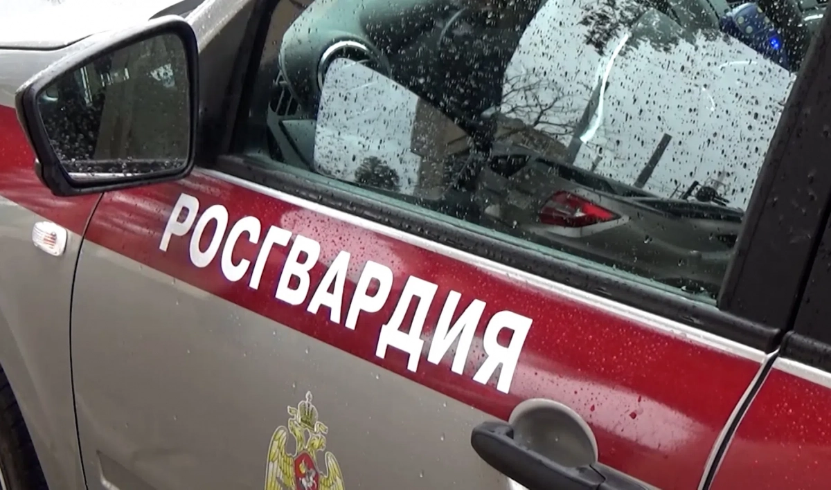 Росгвардейцы задержали мужчину, пытавшегося задушить врача в Красносельском районе - tvspb.ru