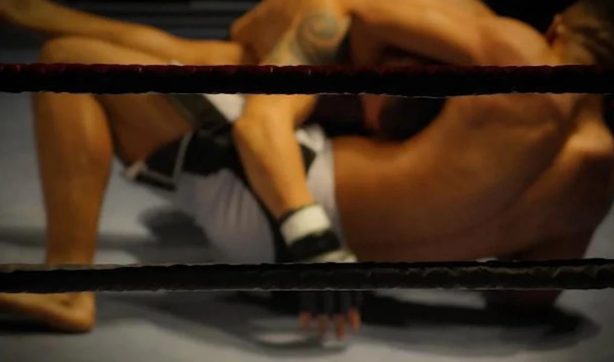 Ассоциация врачей у ринга просит приостановить проведение турниров ММА - tvspb.ru