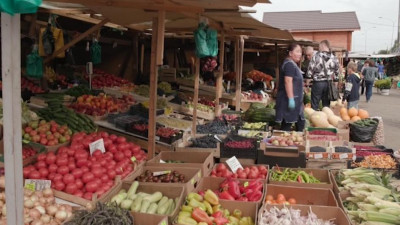 На месте рынка у «Старой Деревни» может появиться гостиница