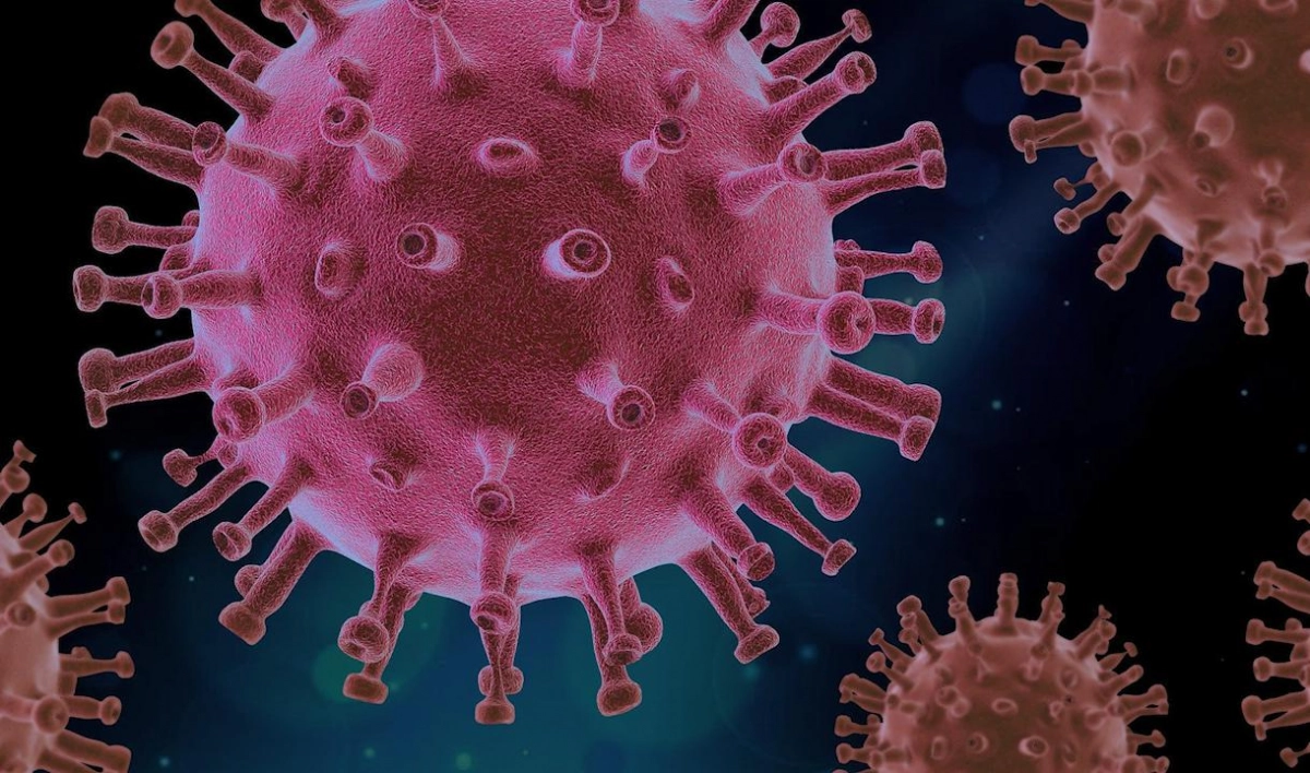 В ВОЗ не нашли доказательств серьезной мутации коронавируса - tvspb.ru