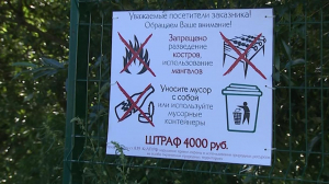 Петербуржцам напомнили о правилах поведения в лесопарковых зонах