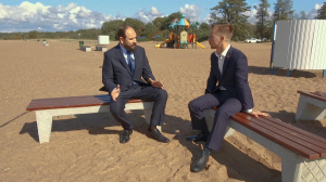 Курортный район