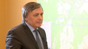 Петродворцовый район