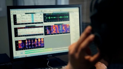 С какими сложностями сталкиваются компании при внедрении роботов