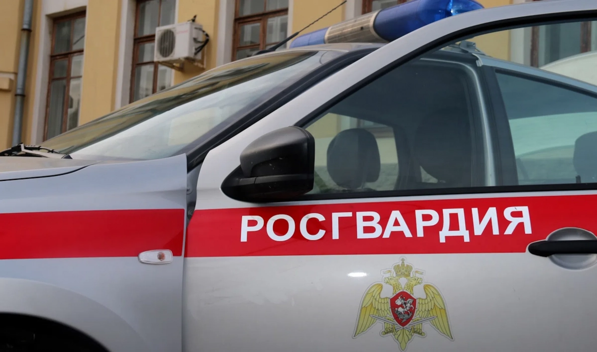 Студент попытался пронести оружие в общежитие Политеха - tvspb.ru