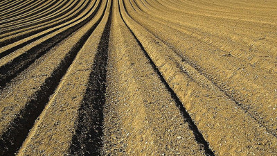 На юге Петербурга продается участок площадью почти 60 гектаров