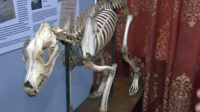 Первый мед пустит в закрытые лаборатории в «Ночь музеев»