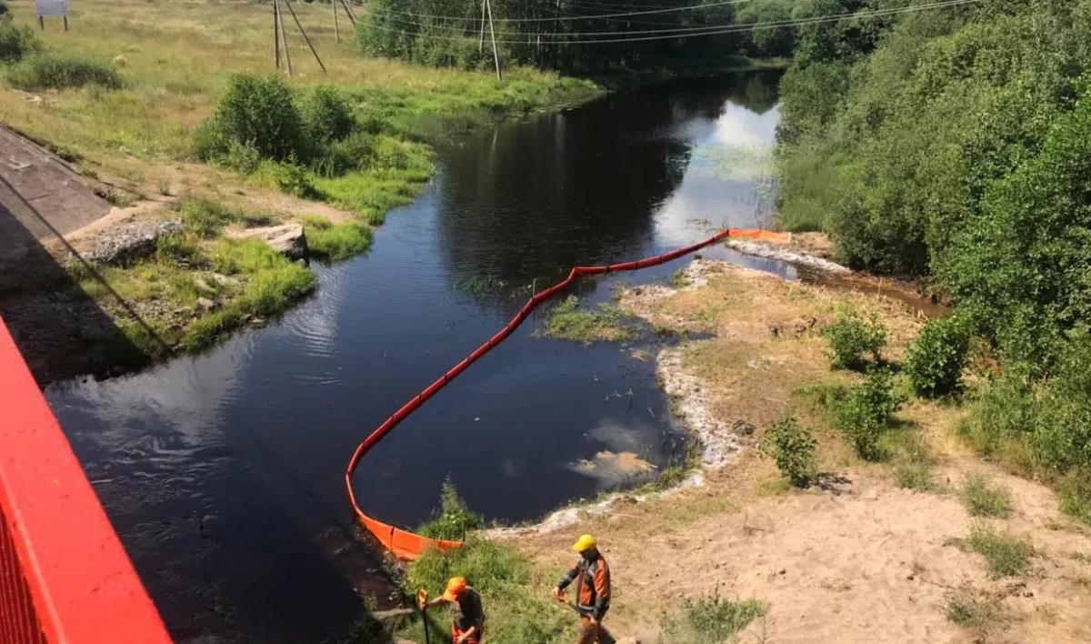 В Выборгском районе проверили реку Серьга, в которую попало топливо - tvspb.ru