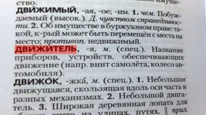 Дарья Богдашкина помогает говорить и писать по-русски правильно — исследуем слова «Двигатель» и «Движитель»