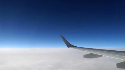 Зарплаты топ-менеджеров «Аэрофлота» понизили на 40%