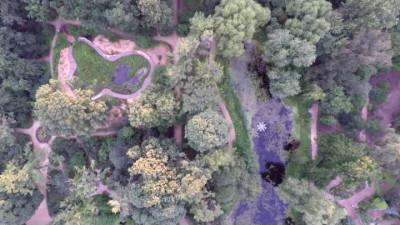 Instagram заблокировал страницу Ботанического сада МГУ