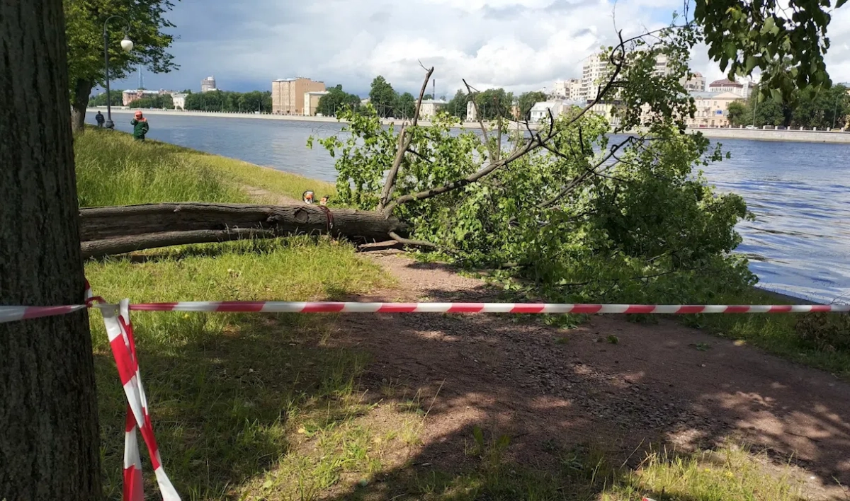 Сады и скверы Петербурга снова закрыты из-за непогоды - tvspb.ru