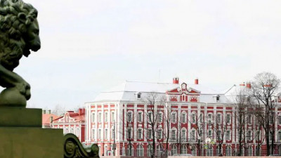 Сессия в СПбГУ пройдет в дистанционном режиме из-за распространения COVID