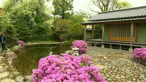 Фестиваль сакуры в Ботаническом саду